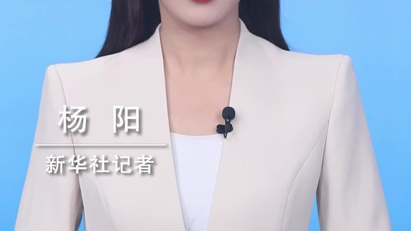 数据湖与数据仓库：结构差异与各自优势